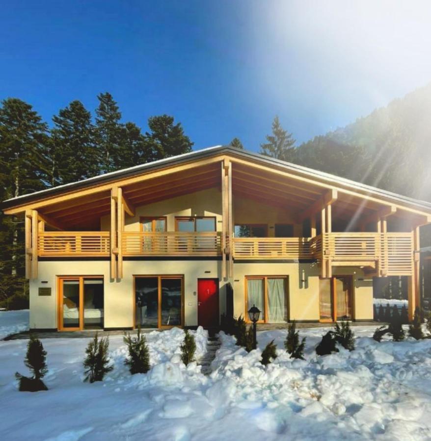 Chalet Relax Molveno E Andalo Dolomiti Villa Exterior foto