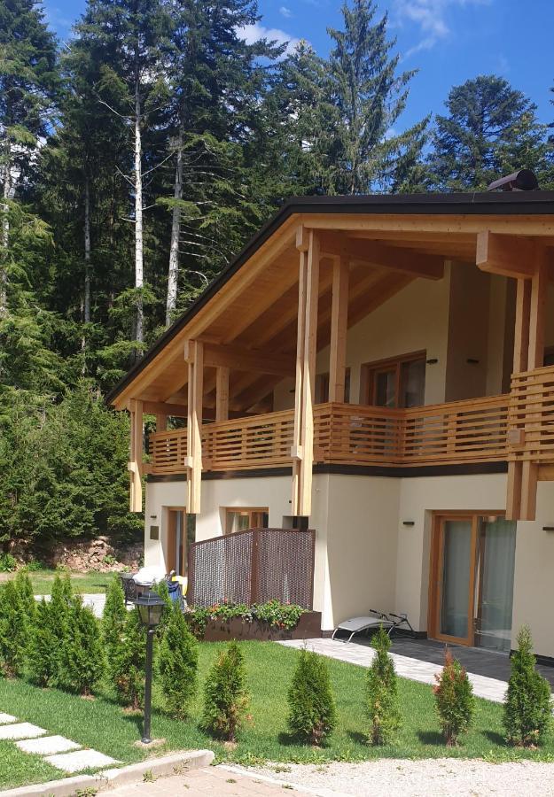 Chalet Relax Molveno E Andalo Dolomiti Villa Exterior foto